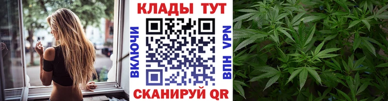 Наркошоп Каргополь Бошки Шишки  A-PVP  КОКАИН  MDMA  Меф мяу мяу  ГАШИШ  Псилоцибиновые грибы 