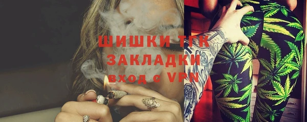 дурь Богородицк