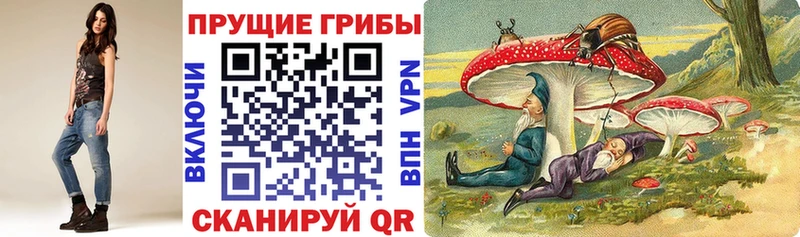 Псилоцибиновые грибы мухоморы  купить закладку  Каргополь 